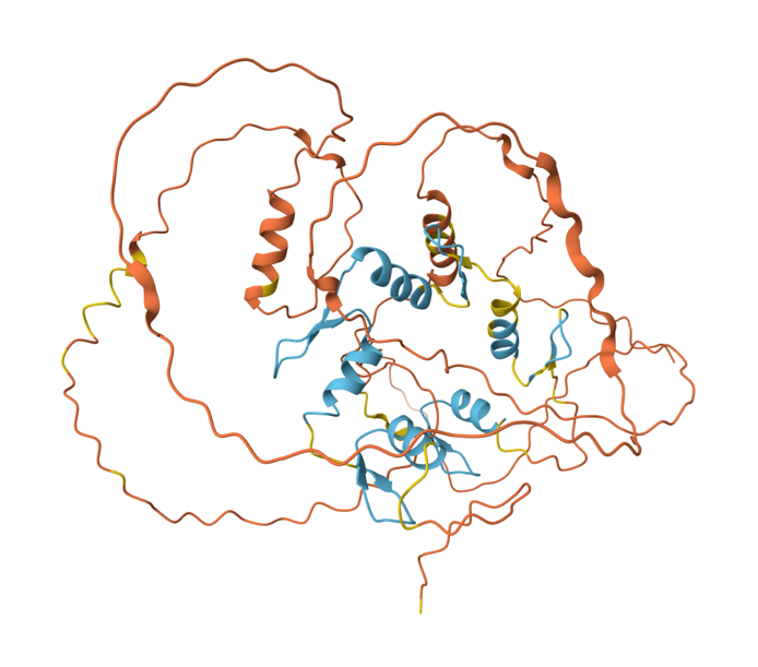 Figura 3: Predicción de AlphaFold2 para la estructura de la proteína Escargot de Drosophila melanogaster (registro AF-P25932-F1). Las zonas predichas con confianza se muestran en azul.